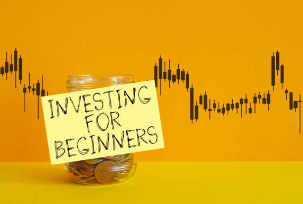 How Beginners Can Start Investing Stocks
