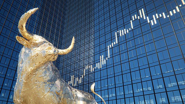 Stocks, ETFs, or Savings: Which Investment Option Is Best?